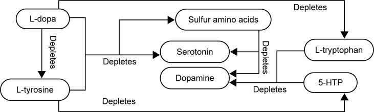 Diagram of Competitive Neurotransmitter Inhibitors